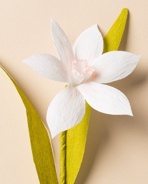Naricissus Paper Flower