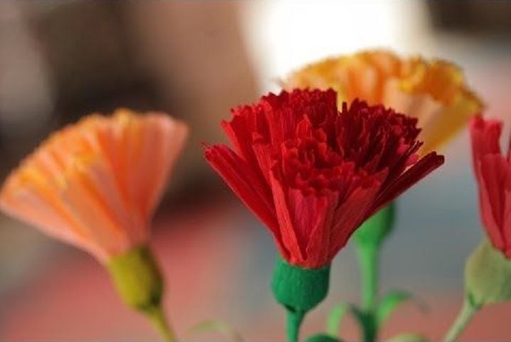 Paper Carnations