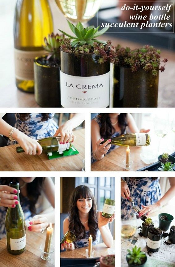 Wine Bottle Succulent Planters