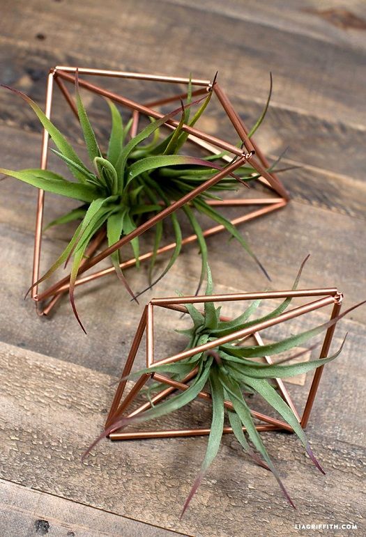 Copper Plant Hangers