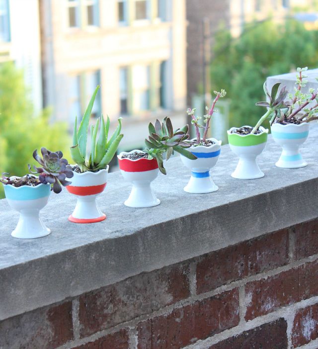 Egg Cup Succulent Centerpiece