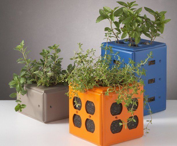 Turn Old Switch Plate Covers Into Desktop Planters