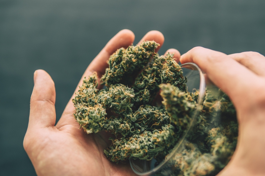 Buying Hemp CBD Flower: Meet The OG Kush